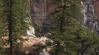 Grand Canyon National Park: Rim to Rim