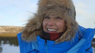 Denali: Dog Sledding Denali: Dog Sledding