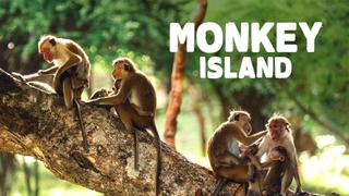 Monkey Island