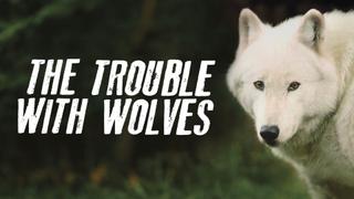  watch The Trouble With Wolves