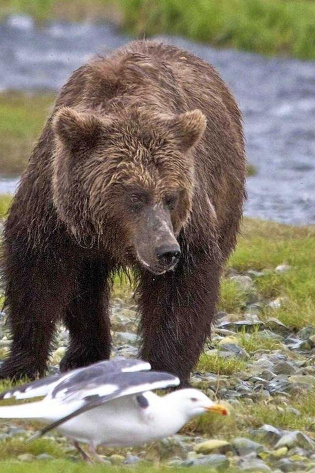 Russia's Wild Sea