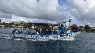Pursuing Passions in Cozumel