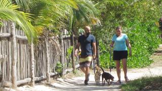 Enjoying Life in the Slow Lane on Holbox