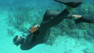 Free Diver