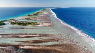 Surviving the Lagoon