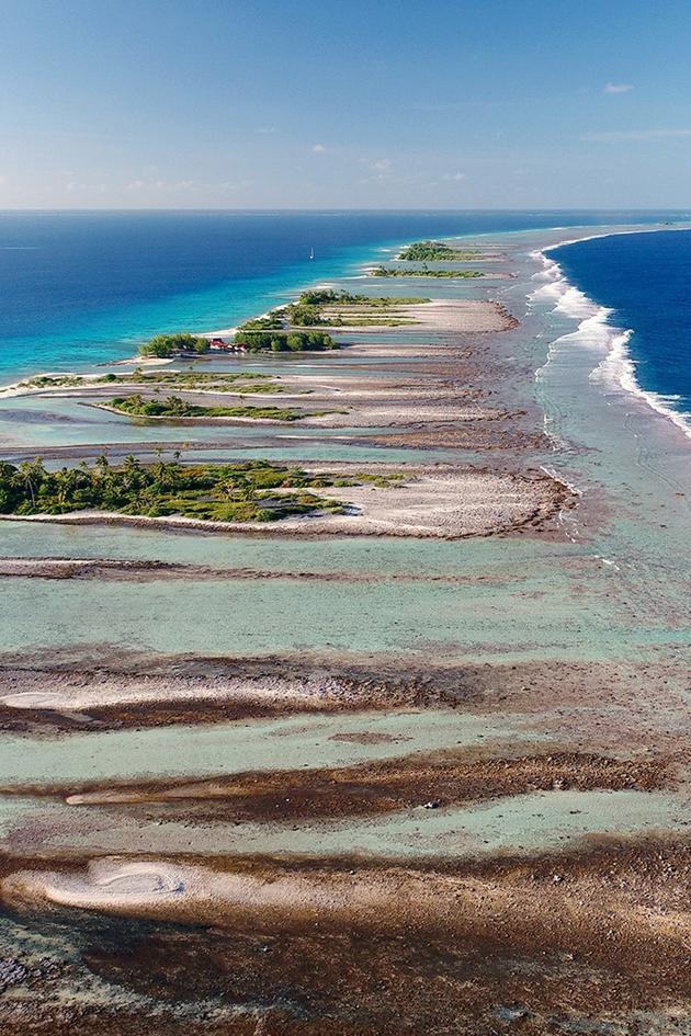 Surviving the Lagoon