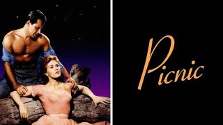  watch Picnic