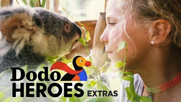 Dodo Heroes: Extras