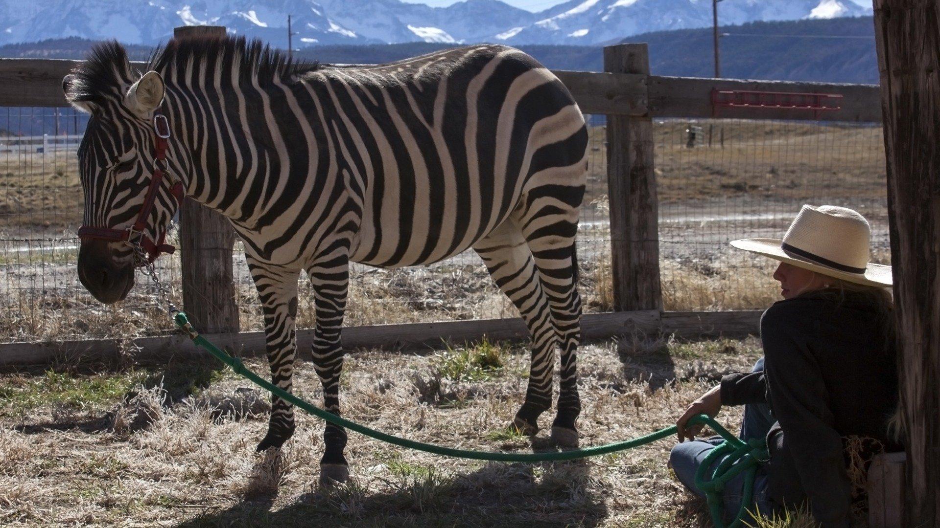 Dr. Jeff Rocky Mountain Vet Help on the Street