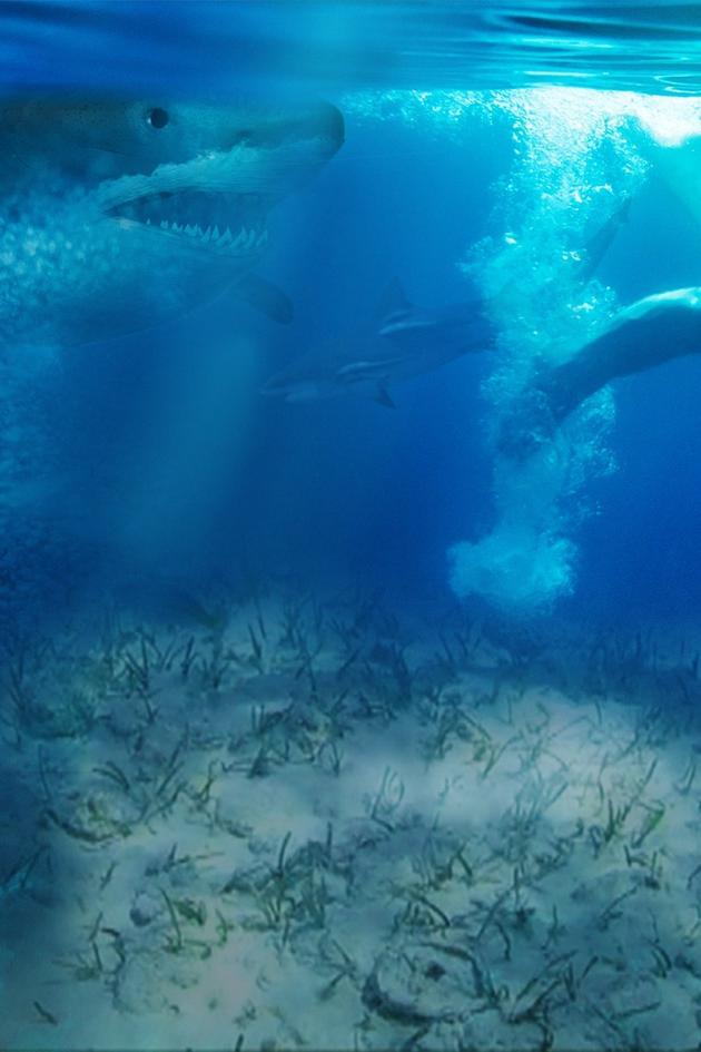 Naked and Afraid of Sharks