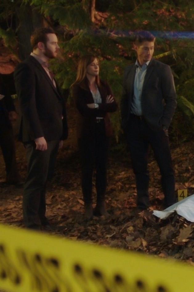 Hailey Dean Mysteries: A Will to Kill