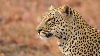 Mvula's Journey