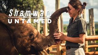 Shamwari Untamed