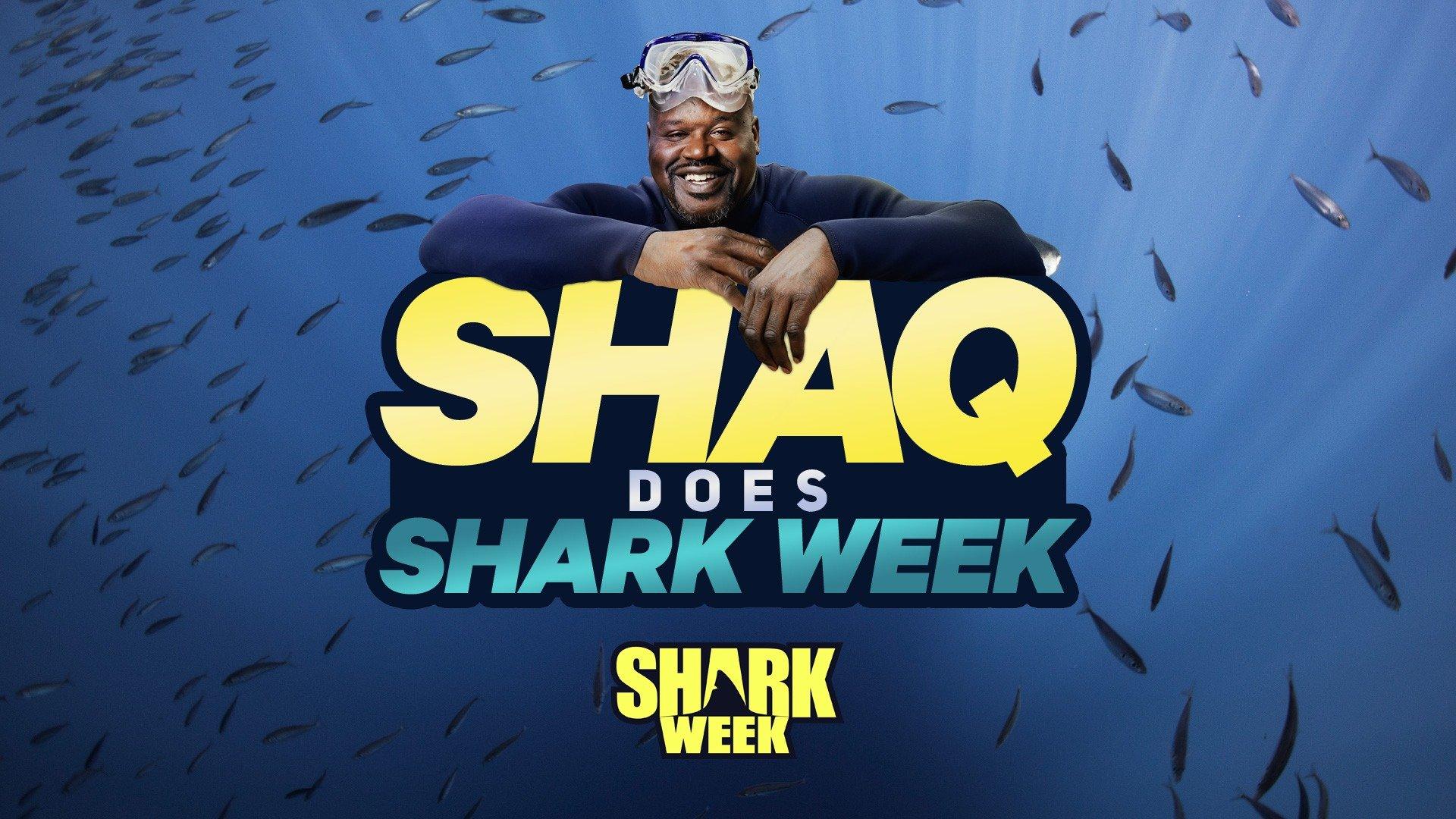 Watch Shaq Does Shark Week Streaming Online on Philo (Free Trial)