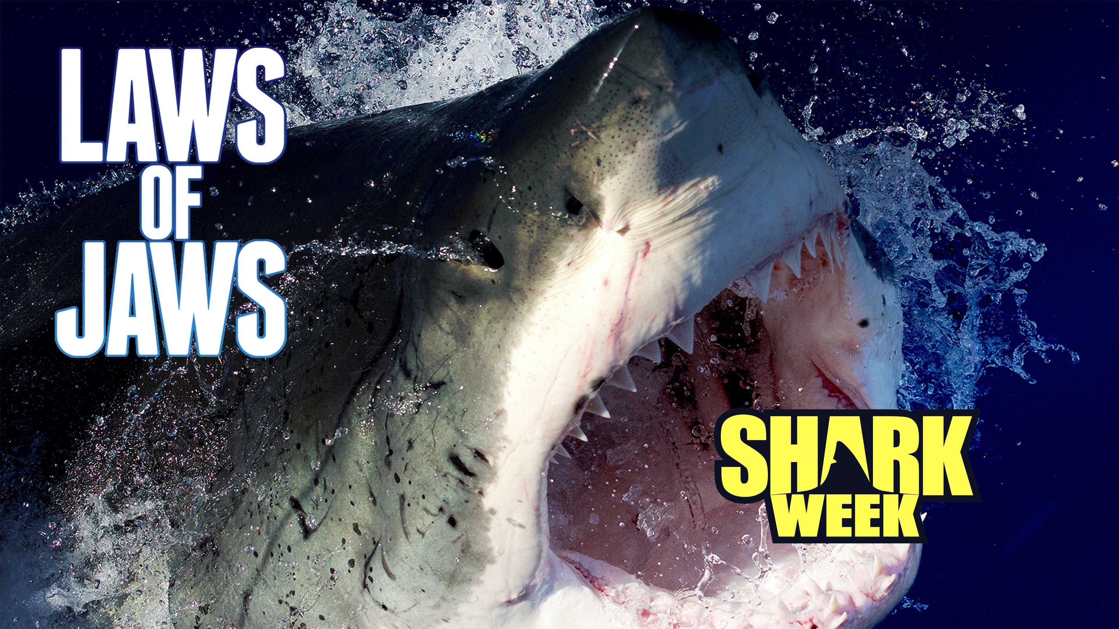 Неделя акул. Shark week 2012. Шоу маска песня акулы