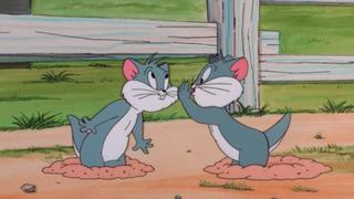 The Sylvester & Tweety Mysteries