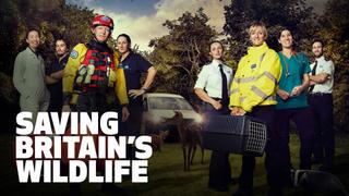 Saving Britain's Wildlife