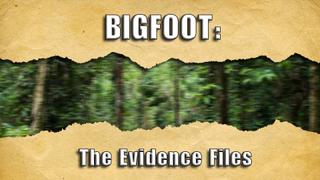 Bigfoot: The Evidence Files