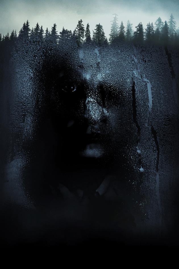 The Witch in the Window