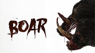 Boar