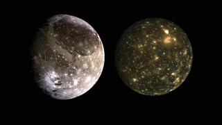 Alien Moons: The Next Earth