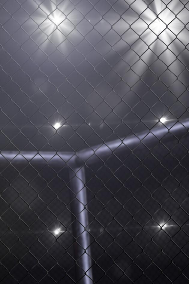 Tuff-N-Uff: Fight Night