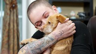 Wildfire Puppy Rescue