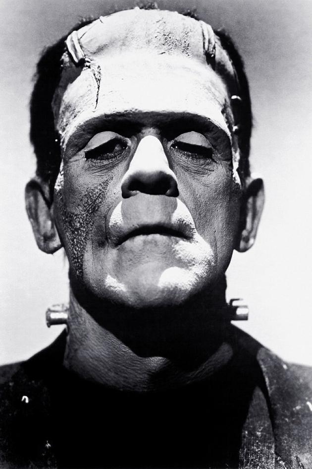 The Strange Life of Dr. Frankenstein