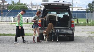 Pit Bulls and Parolees