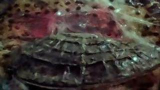 The Secret of the Giant Oyster