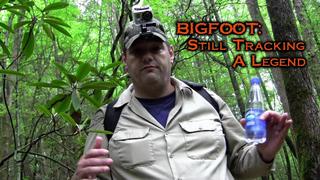 Bigfoot: Still Tracking a Legend