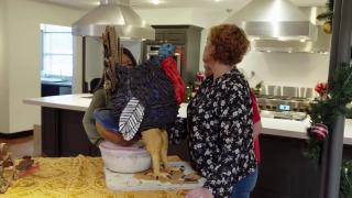 Tricked Out Turkey
