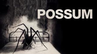 Possum