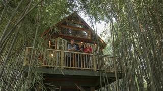 Ultimate Treehouses VI