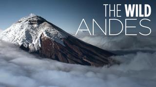 The Wild Andes