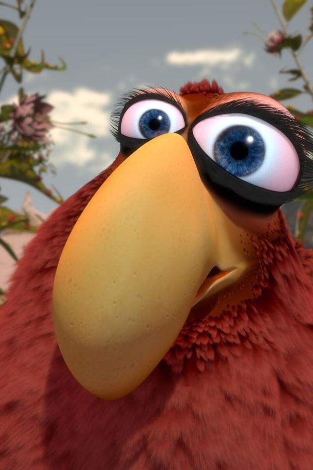 Birds Like Us