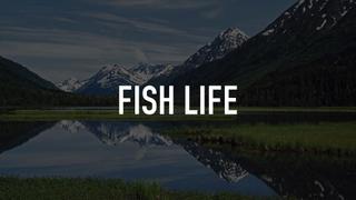 Fish Life