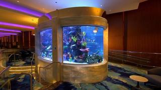 All in the Ocean