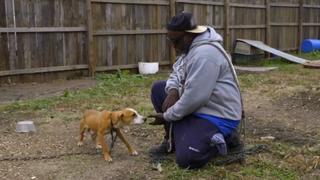 Pit Bulls and Parolees