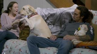 Pit Bulls and Parolees