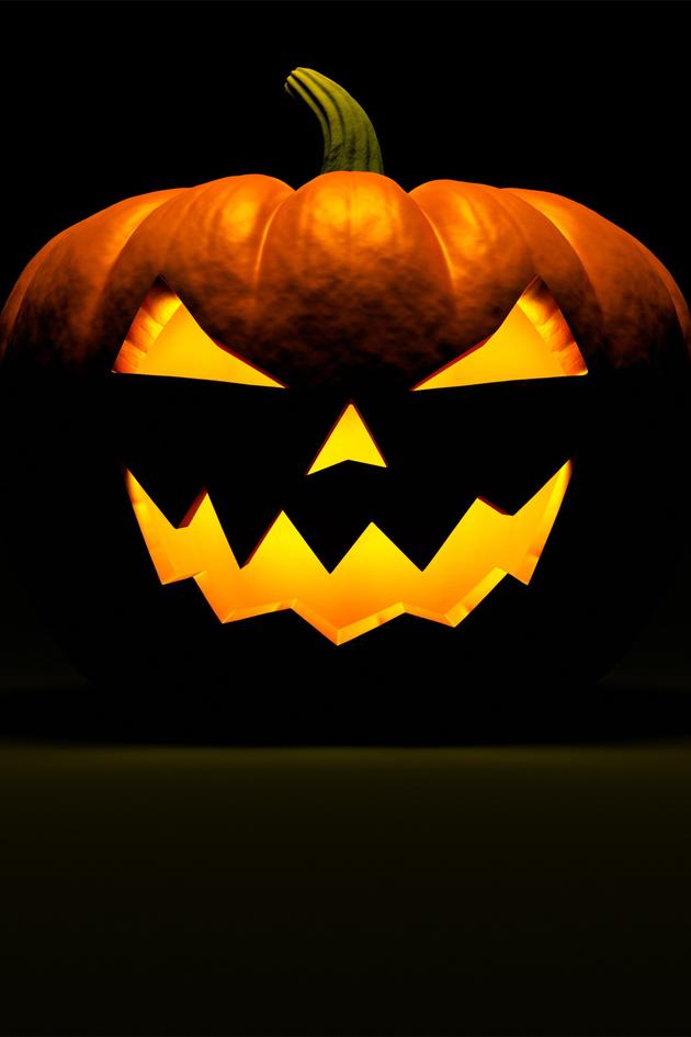 The Ghoul Log