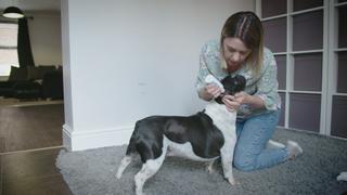 Howling Hound