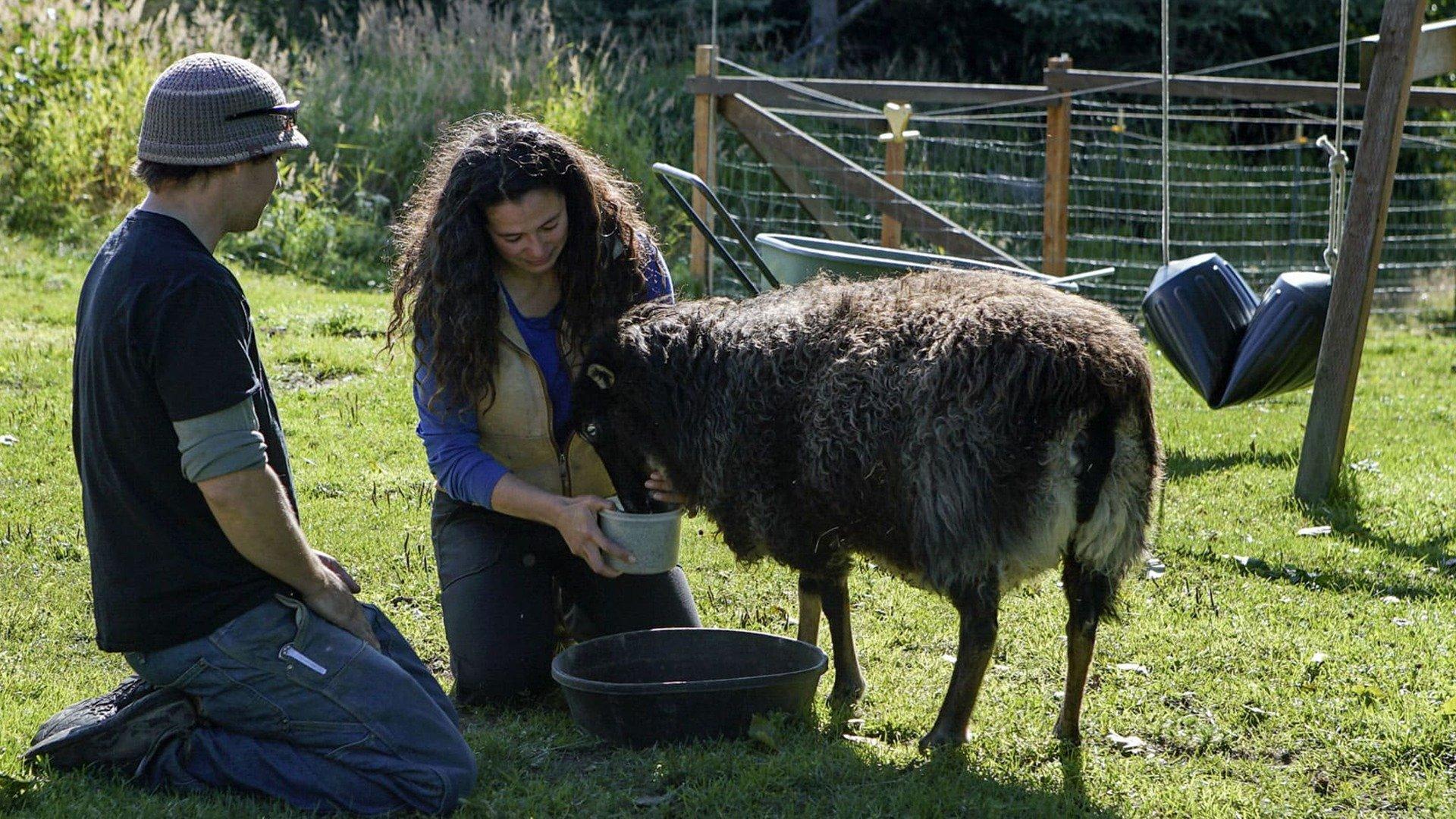 Alaska The Last Frontier Coming of Age