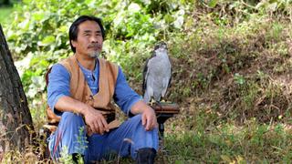 Voice of Nature