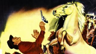 The Outlaw Stallion