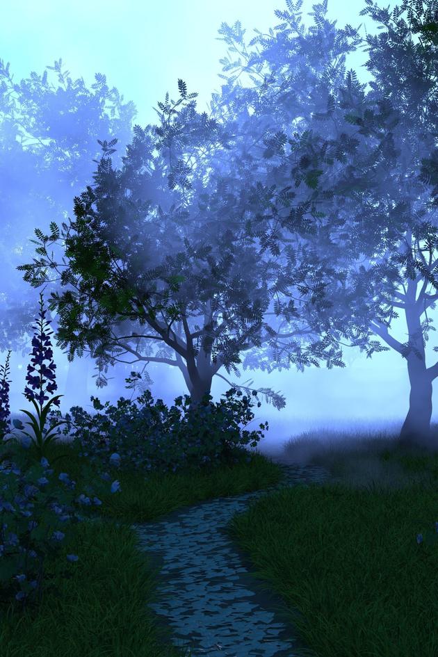 The Ash Tree
