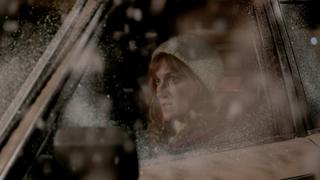 40 Years Winter