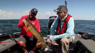 Giant Walleyes of the Great Lakes