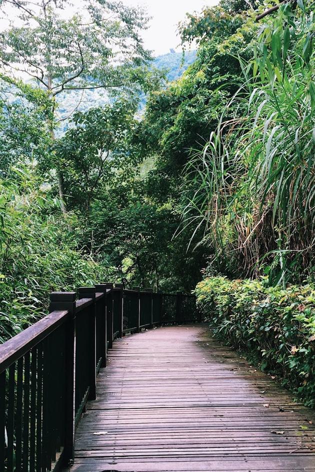Wild Taiwan