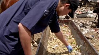 Migrant Camp Kitten Rescue